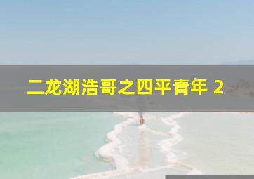 二龙湖浩哥之四平青年 2